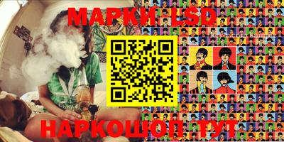 крисы Можга