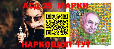 крисы Можга