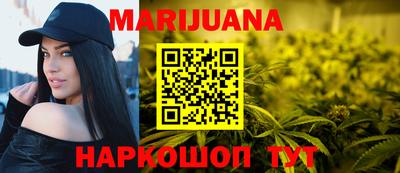 крисы Можга