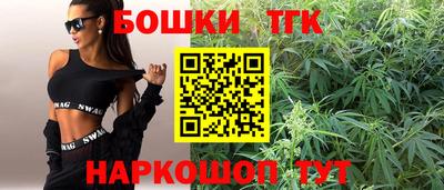 соль ск Моздок