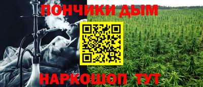 крисы Можга