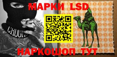 крисы Можга