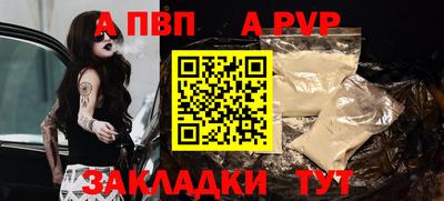 крисы Можга
