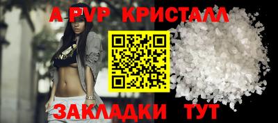 крисы Можга