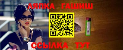 крисы Можга