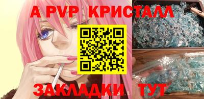 крисы Можга