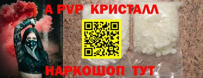 крисы Можга