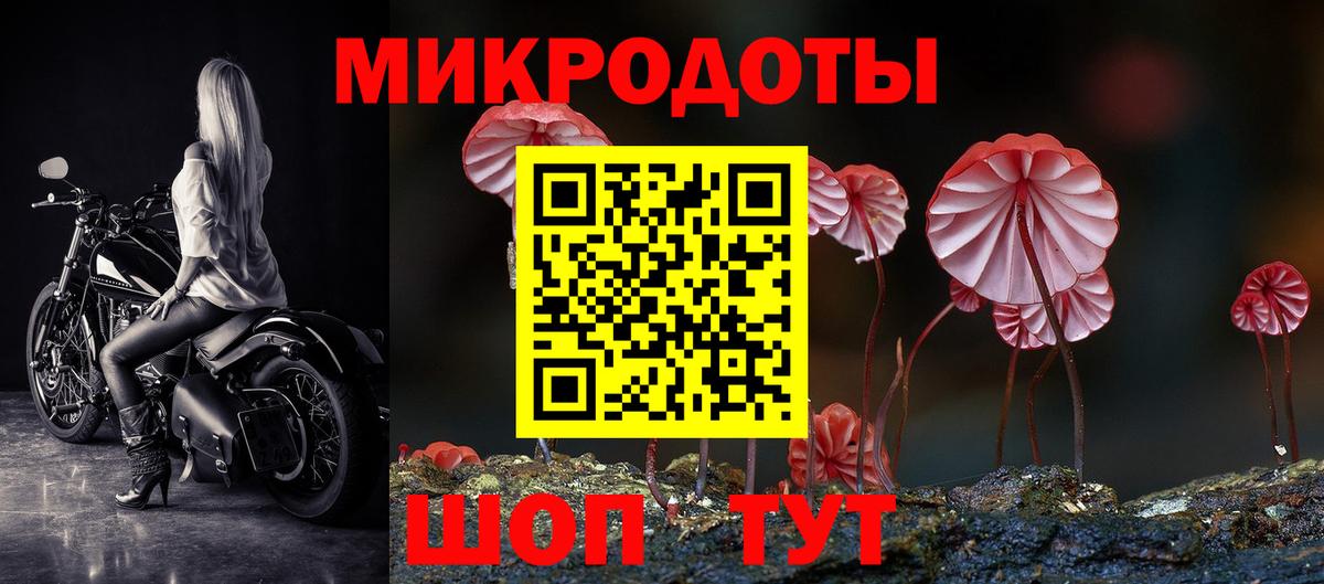 Георгиевск  Галлюциногенные грибы мицелий  Псилоцибиновые грибы ЛСД  Вход с VPN 
