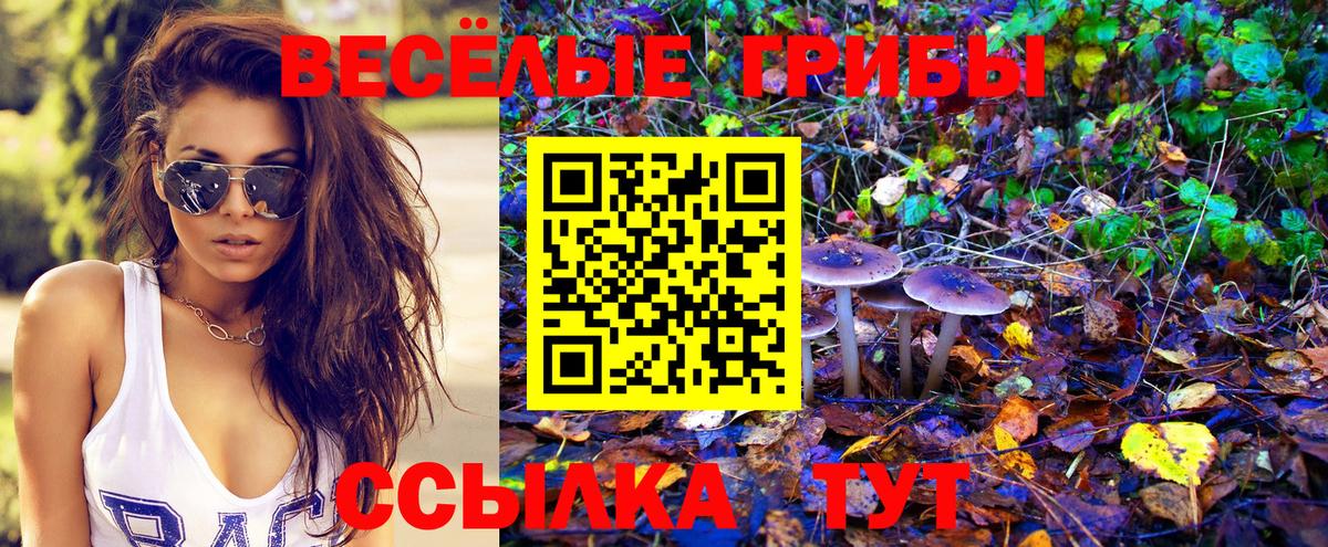 Галлюциногенные грибы мухоморы Георгиевск